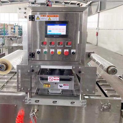 satın al OEM/ODM kabul edilebilir olan doğrusal tepsi vakumlu mühürleme makinesi online manufacture