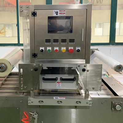 Doğrusal Gıda Tepsisi Doldurucu Makine 20pcs/Min Özel şekil ve tasarım